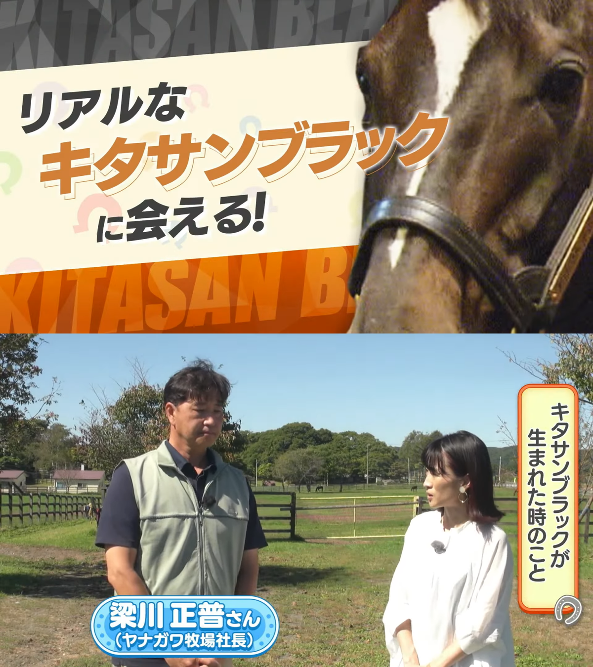 ウマ箱3_映像特典