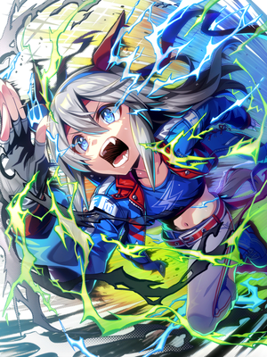 [白き稲妻の如く] タマモクロス