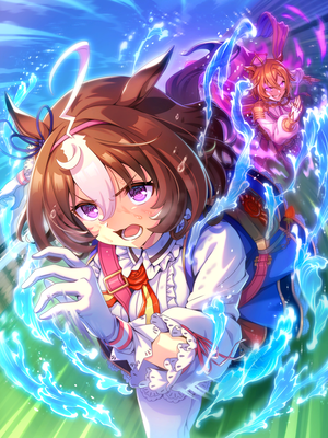 [その執念は怒濤が如く] メイショウドトウ